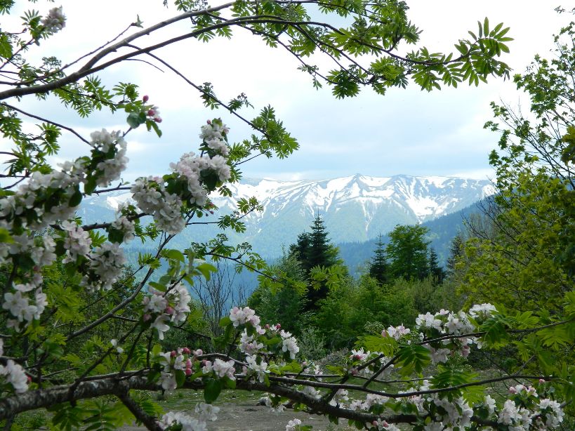 Западный Кавказ, хребет "Каменное море", долина яблонь