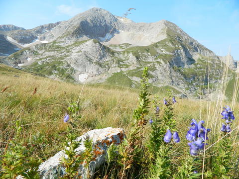 Сентябрь 2018 г. Фото из похода к вершине горы Оштен, Западный Кавказ