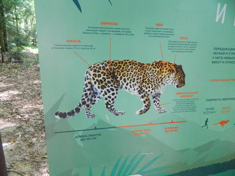 Информационный стенд на Тропе леопарда