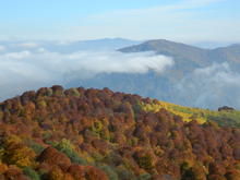Осень в горах Адыгеи - багреющий лес
